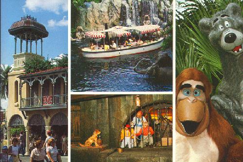 0100-11803 ADVENTURELAND 