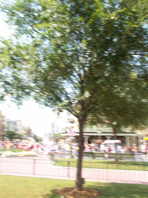 WDW06-15-07 092 (79K)