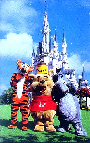 0111-1604 FANTASYLAND IS JUST POOH-FECT ! 