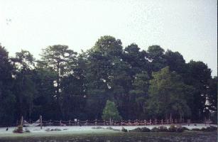 Discovery Island