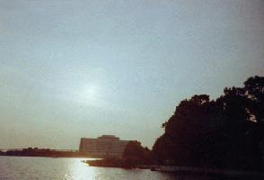 The Contemporary Resort