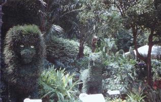Mufasa topiary 