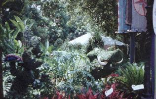 Timon pumba and Zazu Topiarys 