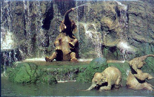 01110209 ELEPHANT BATHING POOL