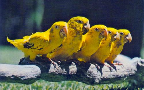 BIRD SANCTUARY ON DISCOVERY ISLAND