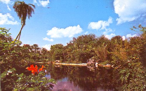 LAGOON BECKONS ON DISCOVERY ISLAND