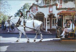 large horse pulling trolley horsepower for real 