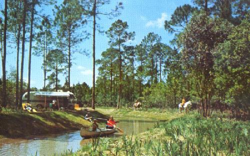 Fort Wilderness Campsite