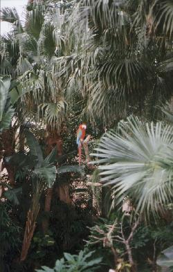 near Mexico